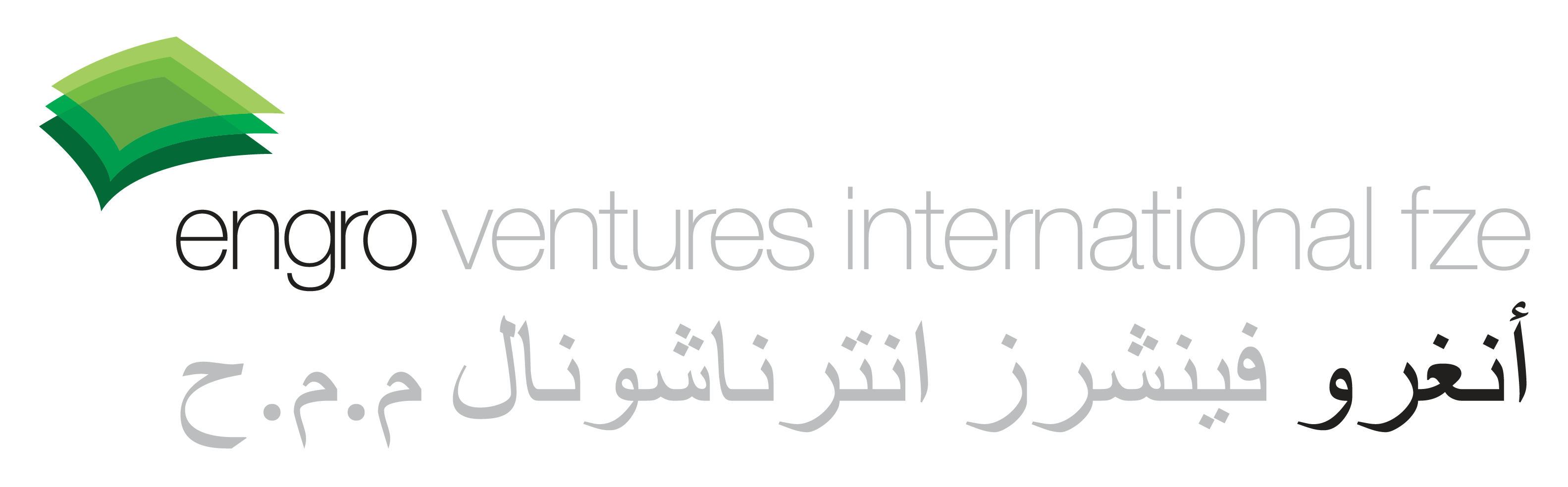 Engro Ventures International EVI